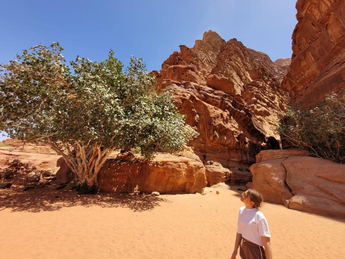 Moon City Camp Wadi Rum Esterno foto